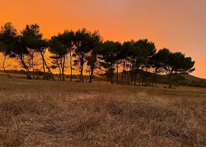 Agriturismo Sa Perda Marcada Arbus